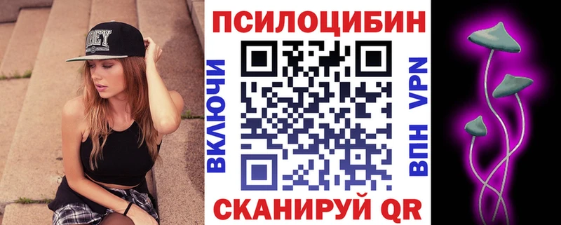 MEGA ТОР  Кимры  Галлюциногенные грибы мицелий  дарнет шоп 