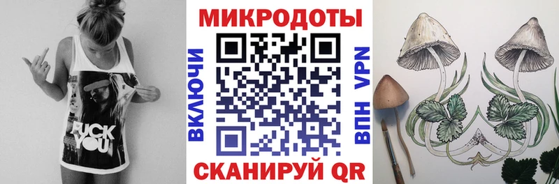 Галлюциногенные грибы Psilocybe Кимры